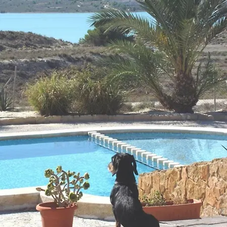 The Oasis *