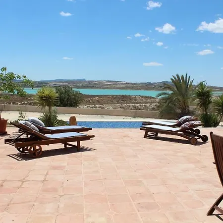 The Oasis *